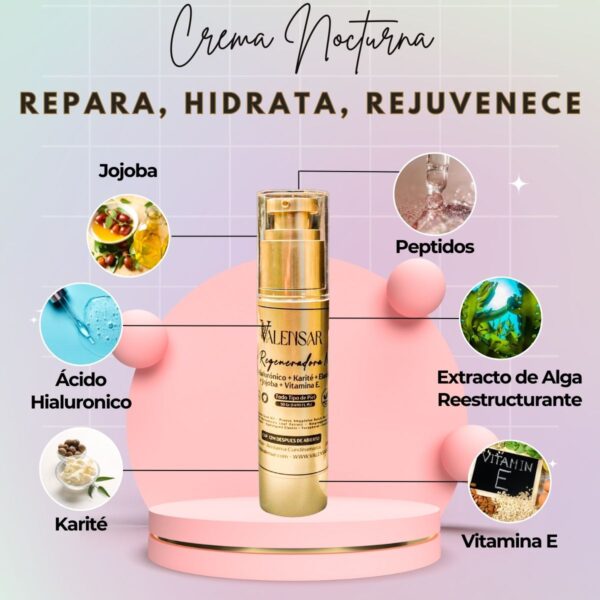 Crema Natural Regeneradora para la Noche Valensar