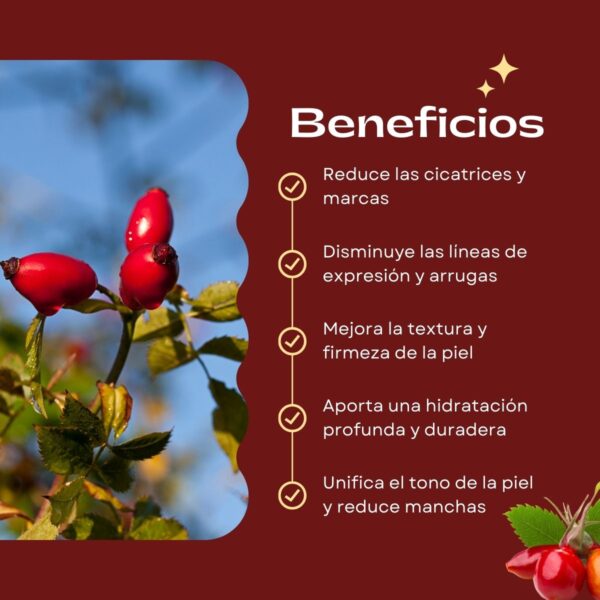 Aceite Reparador de Rosa Mosqueta Natural - Imagen 3